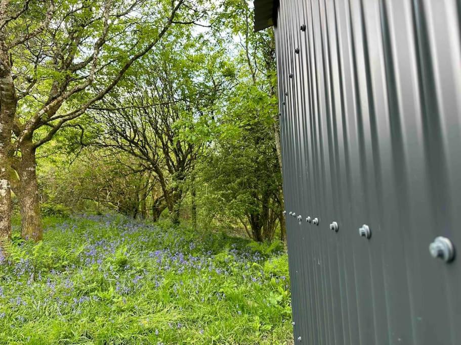 Cornwall Woodland Shepherd'S Hut - Dennis Hut 博德明 外观 照片