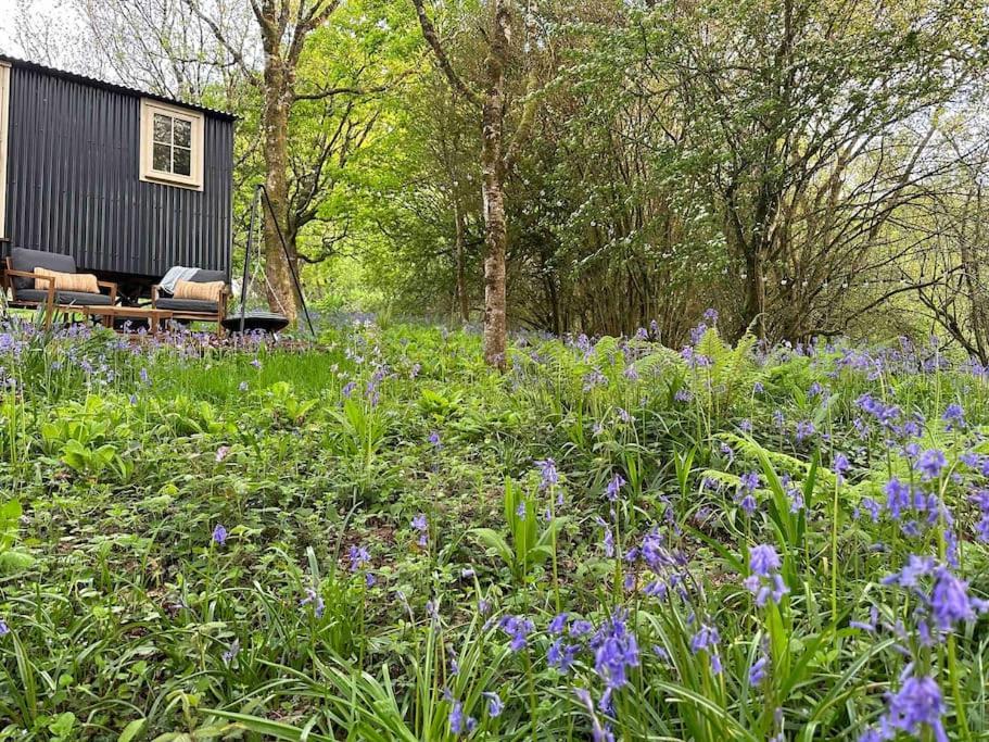 Cornwall Woodland Shepherd'S Hut - Dennis Hut 博德明 外观 照片