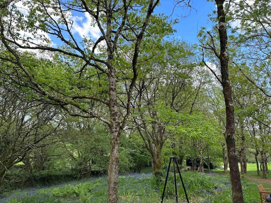 Cornwall Woodland Shepherd'S Hut - Dennis Hut 博德明 外观 照片