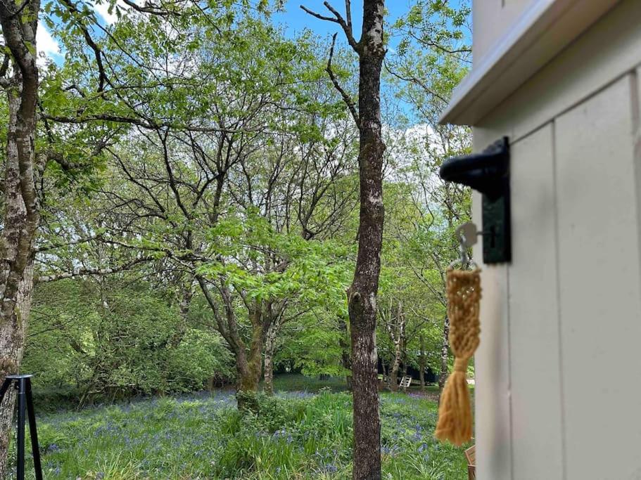 Cornwall Woodland Shepherd'S Hut - Dennis Hut 博德明 外观 照片